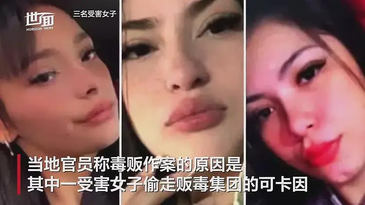 阿根廷发生骇人听闻的毒枭血案！三年轻女子参加派对，误上贩毒团伙车辆遭性侵杀害，过程被全程直播（视频/组图） - 1