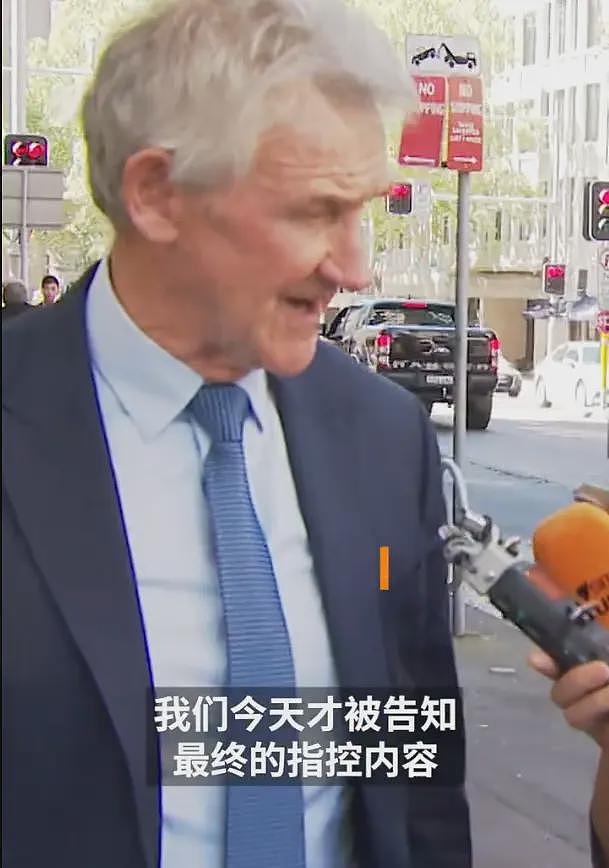 23岁杨兰兰醉驾再开庭：法院首次公开，4项指控。身份依旧神秘（组图） - 8