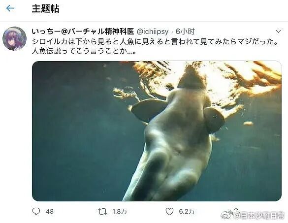 【爆笑】“外卖备注上的信息能带来多大乌龙？” 哈哈哈哈哈哈笑不活了（组图） - 70