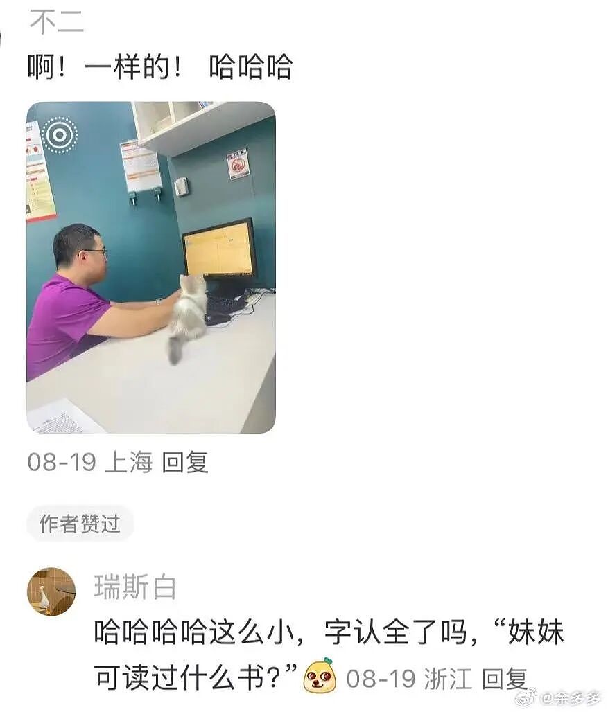 【爆笑】“为什么我国不用强制服兵役？” 哈哈哈哈哈被网友的评论笑得不行了（组图） - 15