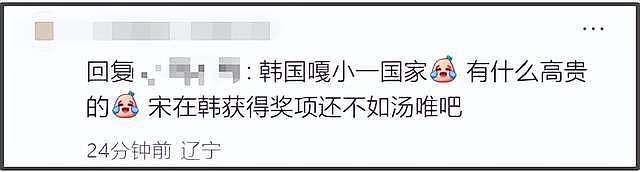 宋慧乔被曝遭全智贤影响！谈了一年的香港项目黄了，片方拒用韩星（组图） - 8
