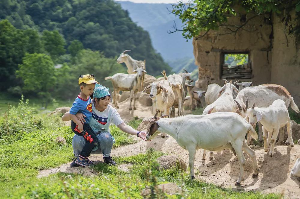 陕西小村庄,住一晚居然已经要两千了(组图) - 10