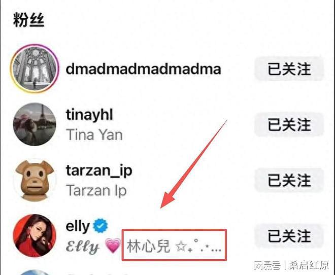 赌王儿子何猷启恋情曝光！女方长相丝毫不输奚梦瑶，已获三太认可（组图） - 7