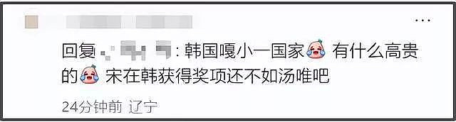 宋慧乔被曝遭全智贤影响，谈了一年的香港项目黄了（组图） - 8