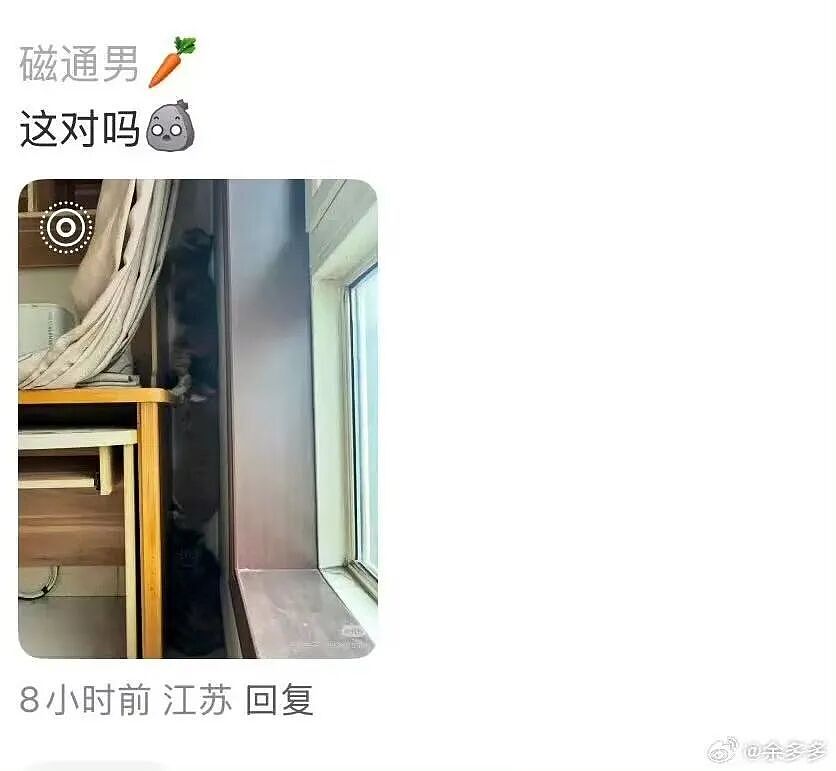 【爆笑】“为什么我国不用强制服兵役？” 哈哈哈哈哈被网友的评论笑得不行了（组图） - 103