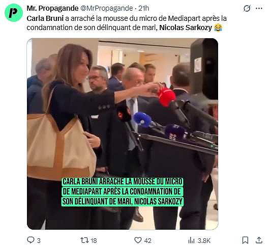 法国首位贪污入狱前总统！萨科齐涉利比亚资金案判刑五年，布鲁妮怒掀记者麦克风挺夫（组图） - 4