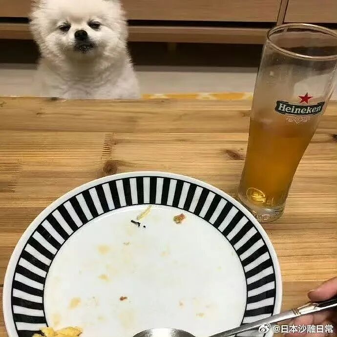 【爆笑】“为什么我国不用强制服兵役？” 哈哈哈哈哈被网友的评论笑得不行了（组图） - 75