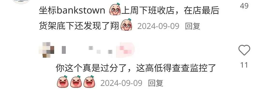 澳洲3大超市集体爆雷！Woolworths知名尿不湿有虫！Aldi蟑螂到处爬、Coles大量商品长霉...（组图） - 21