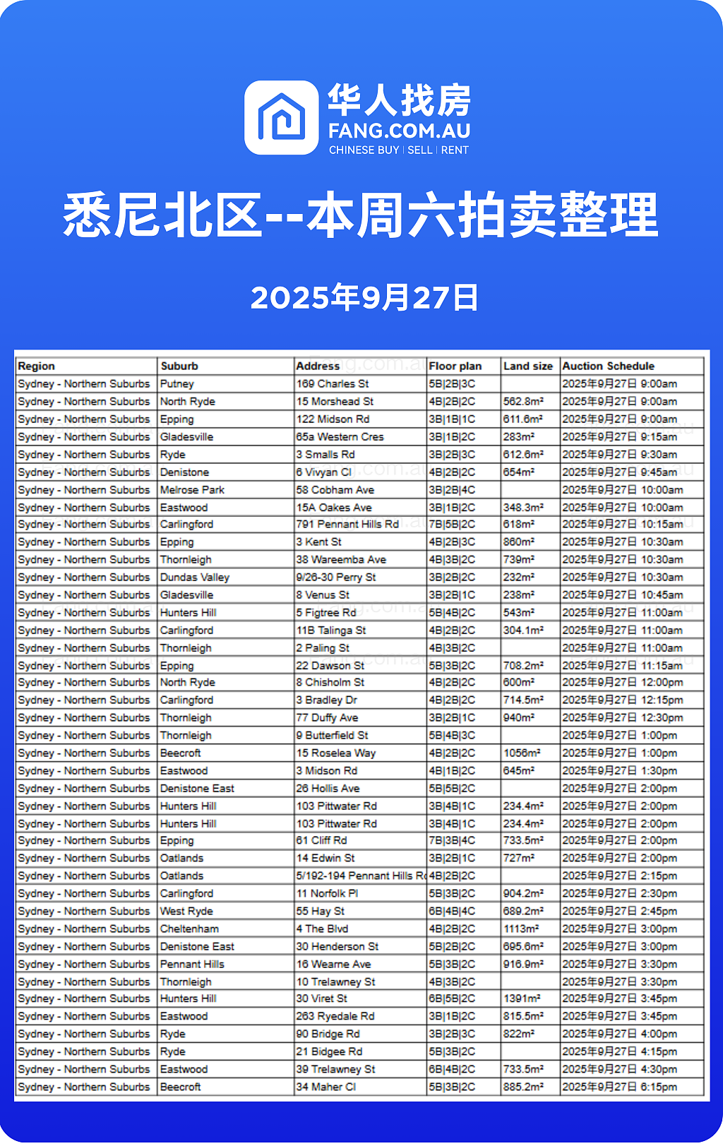 直击悉尼周末拍卖现场，拍卖结果实时更新！（组图） - 11