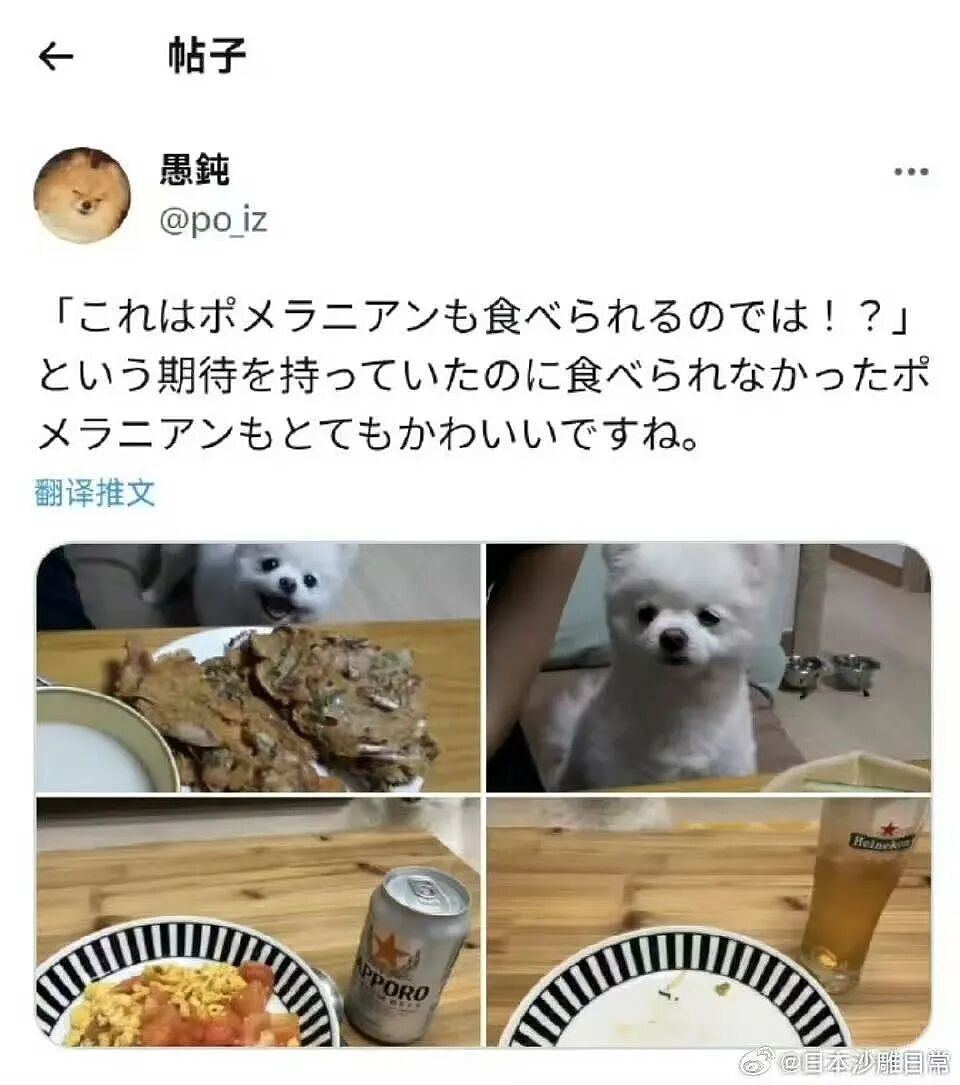 【爆笑】“为什么我国不用强制服兵役？” 哈哈哈哈哈被网友的评论笑得不行了（组图） - 71