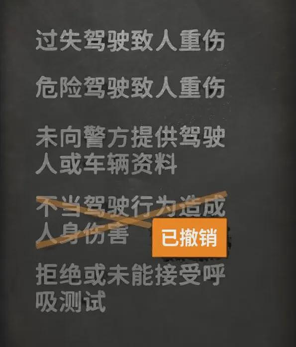 23岁杨兰兰醉驾再开庭：法院首次公开，4项指控。身份依旧神秘（组图） - 3