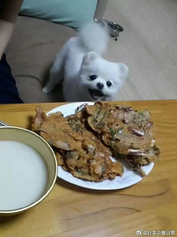 【爆笑】“为什么我国不用强制服兵役？” 哈哈哈哈哈被网友的评论笑得不行了（组图） - 72