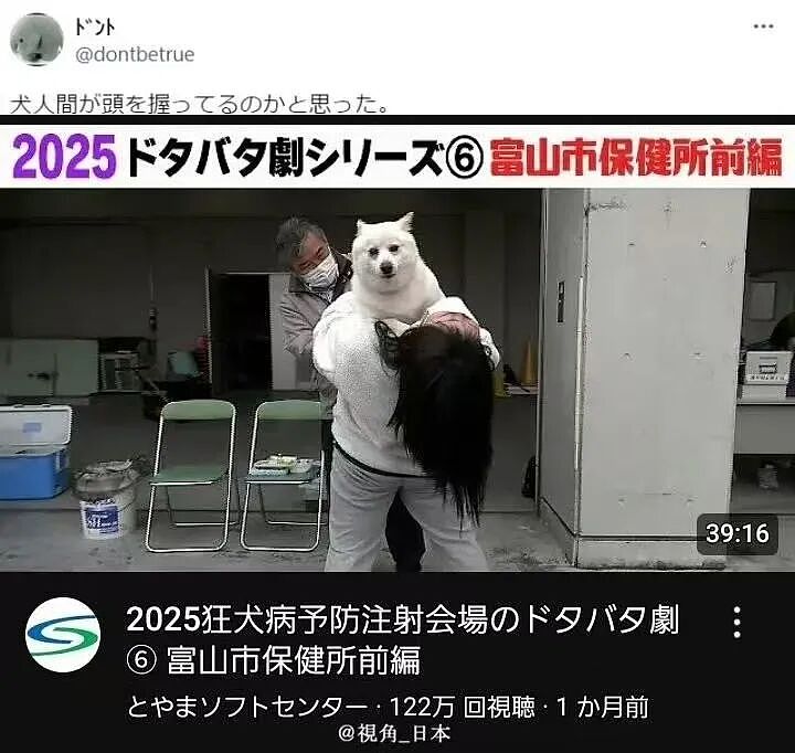 【爆笑】“为什么我国不用强制服兵役？” 哈哈哈哈哈被网友的评论笑得不行了（组图） - 88