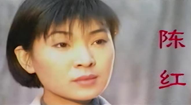 陈红再遭前夫公开控诉：事业巅峰为爱隐退，模范夫妻缘何变怨偶？（组图） - 6