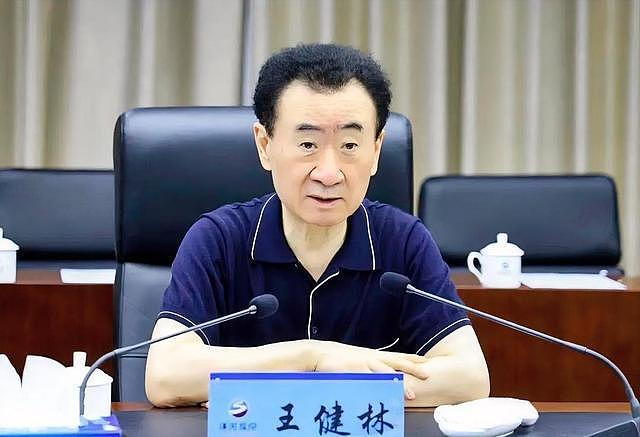 王健林被限高!债务压力再度吃紧,王思聪亏本卖上海豪宅无人接盘(组图) - 1