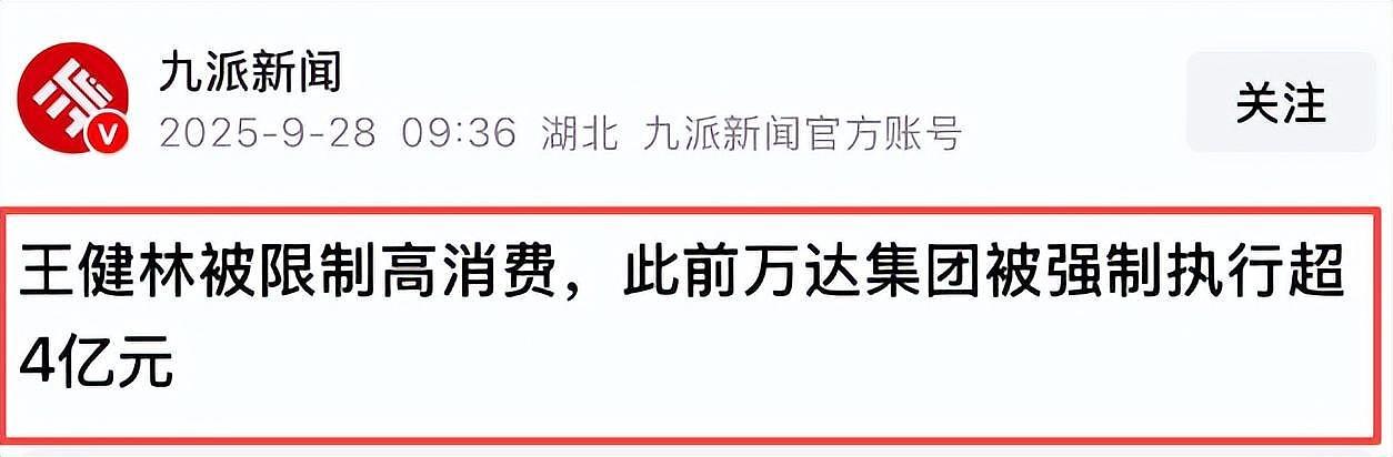王健林被限制高消费！万达被强制执行4亿，王思聪在外泡妞赌博（组图） - 1