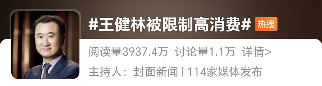 王健林被限制高消费！曾向淡马锡抵押酒店还债、儿子现居新加坡… 更多内幕曝光（组图） - 3