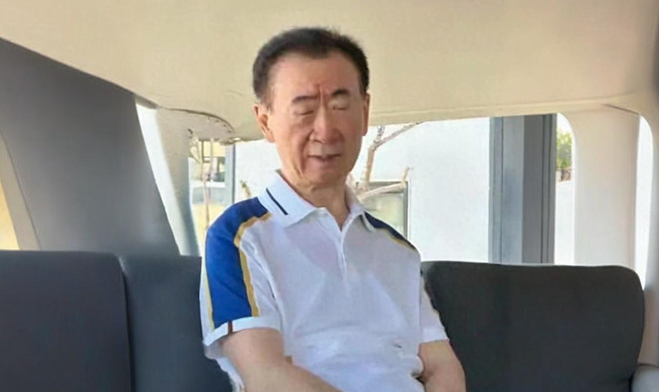 王健林,竟然落到了这番田地(组图) - 1