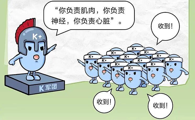 男子因钾过低不幸离世！医生提醒：平时一定要多吃这几种食物（组图） - 2