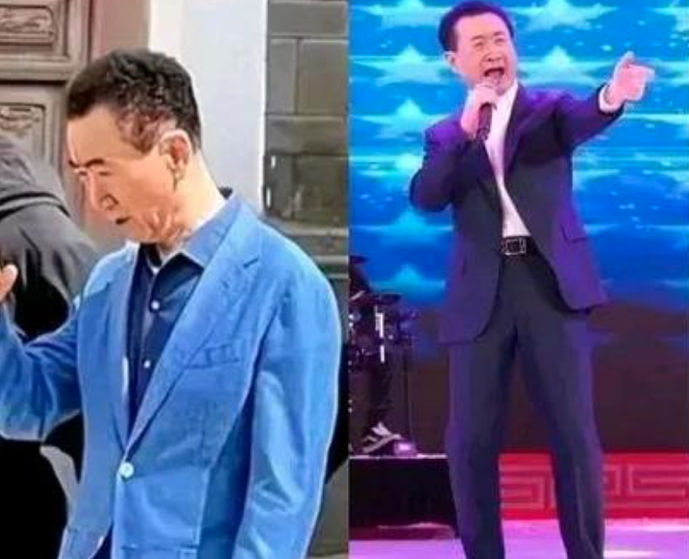 王健林,竟然落到了这番田地(组图) - 6