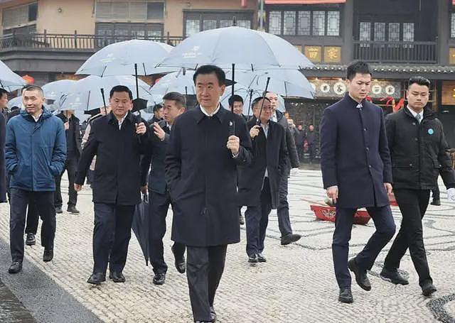王健林被限制高消费！万达被强制执行4亿，王思聪在外泡妞赌博（组图） - 4