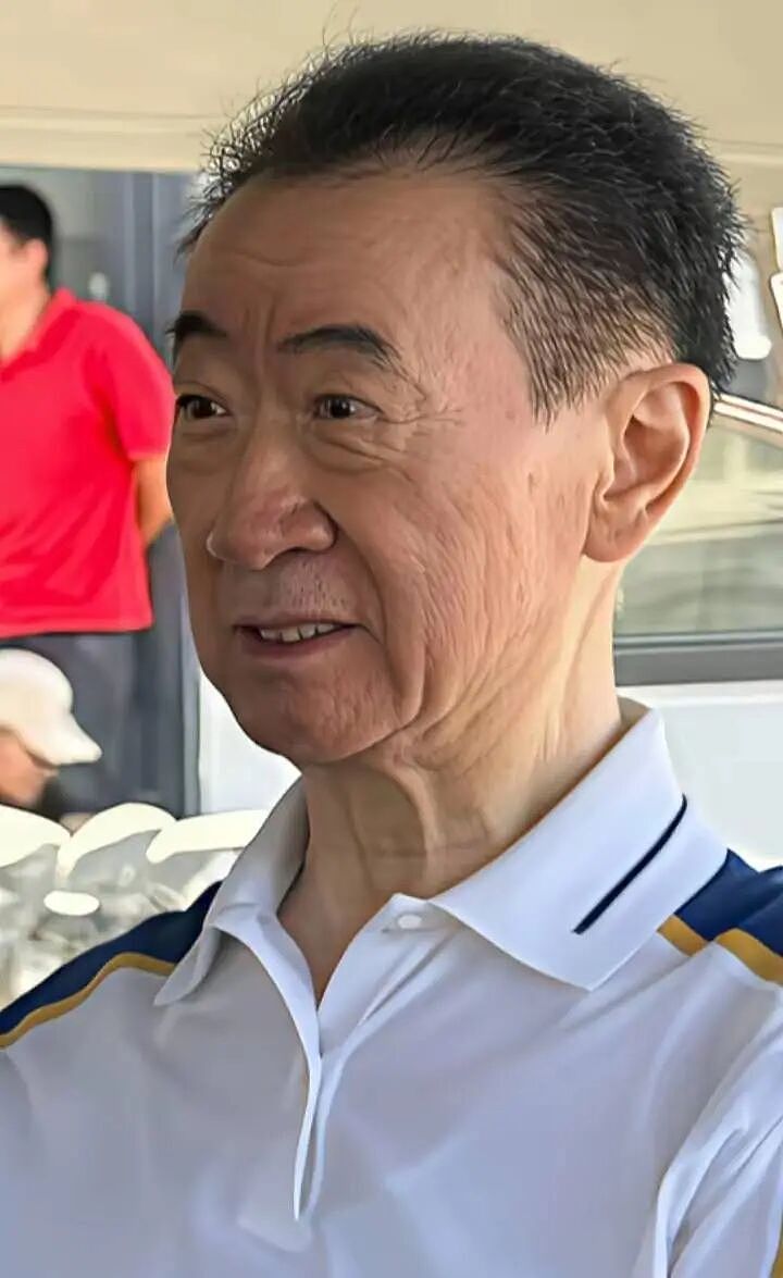 王健林被限制高消费！曾向淡马锡抵押酒店还债、儿子现居新加坡… 更多内幕曝光（组图） - 8