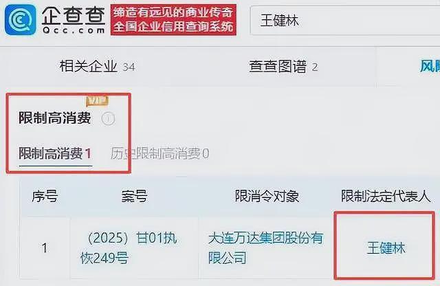 王健林被限制高消费！万达被强制执行4亿，王思聪在外泡妞赌博（组图） - 3