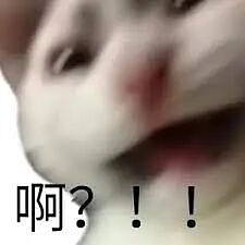 狗血反转！美CEO演唱会偷恋女高管后续：女方巨富丈夫被爆当时也在现场密会新欢？（组图） - 7