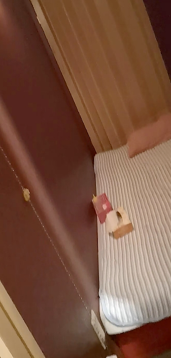 在日中国男子，雇10多个樱花妹，专为中国游客及中国留学生提供性服务？（组图） - 22