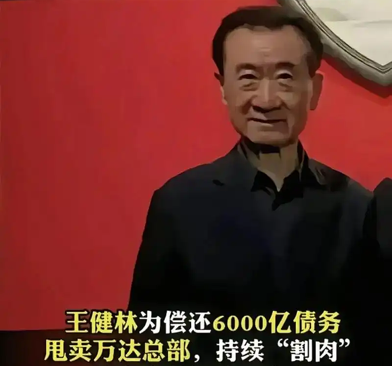 王健林被限制高消费！曾向淡马锡抵押酒店还债、儿子现居新加坡… 更多内幕曝光（组图） - 14