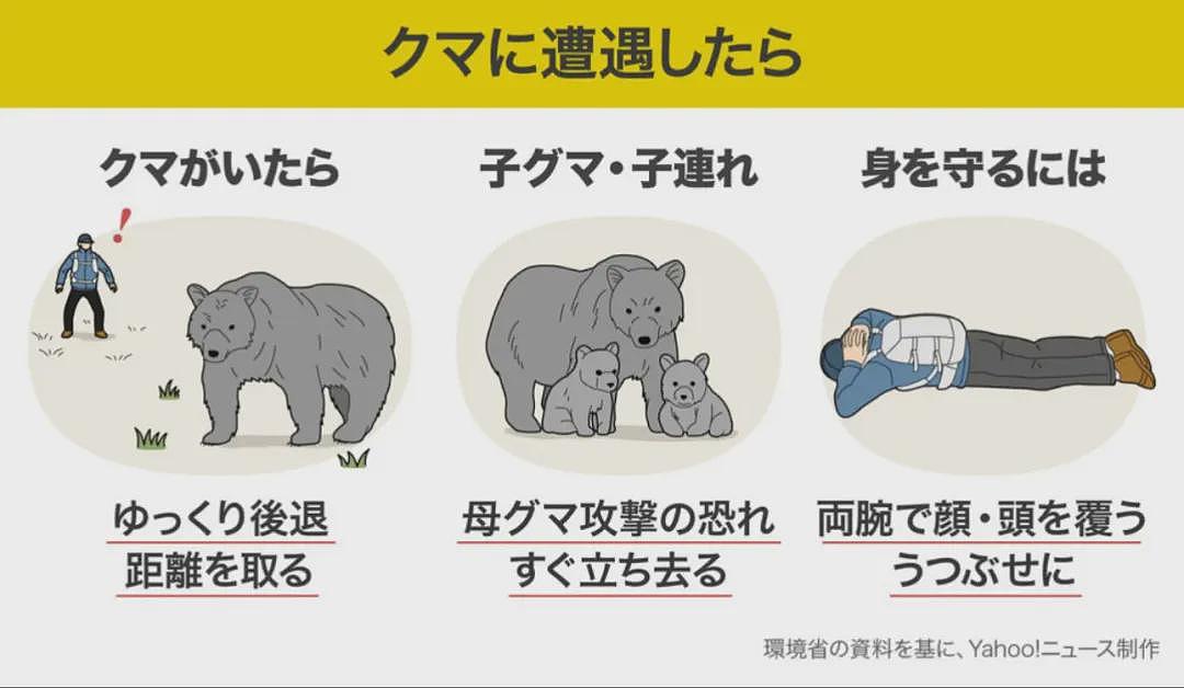 接连发生野熊袭人事件（组图） - 3