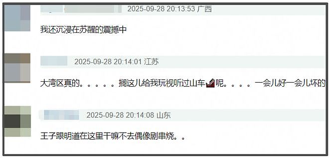 大湾区晚会收视出炉！小沈阳父女拿下最高点，王源和时团联手赶客（组图） - 16