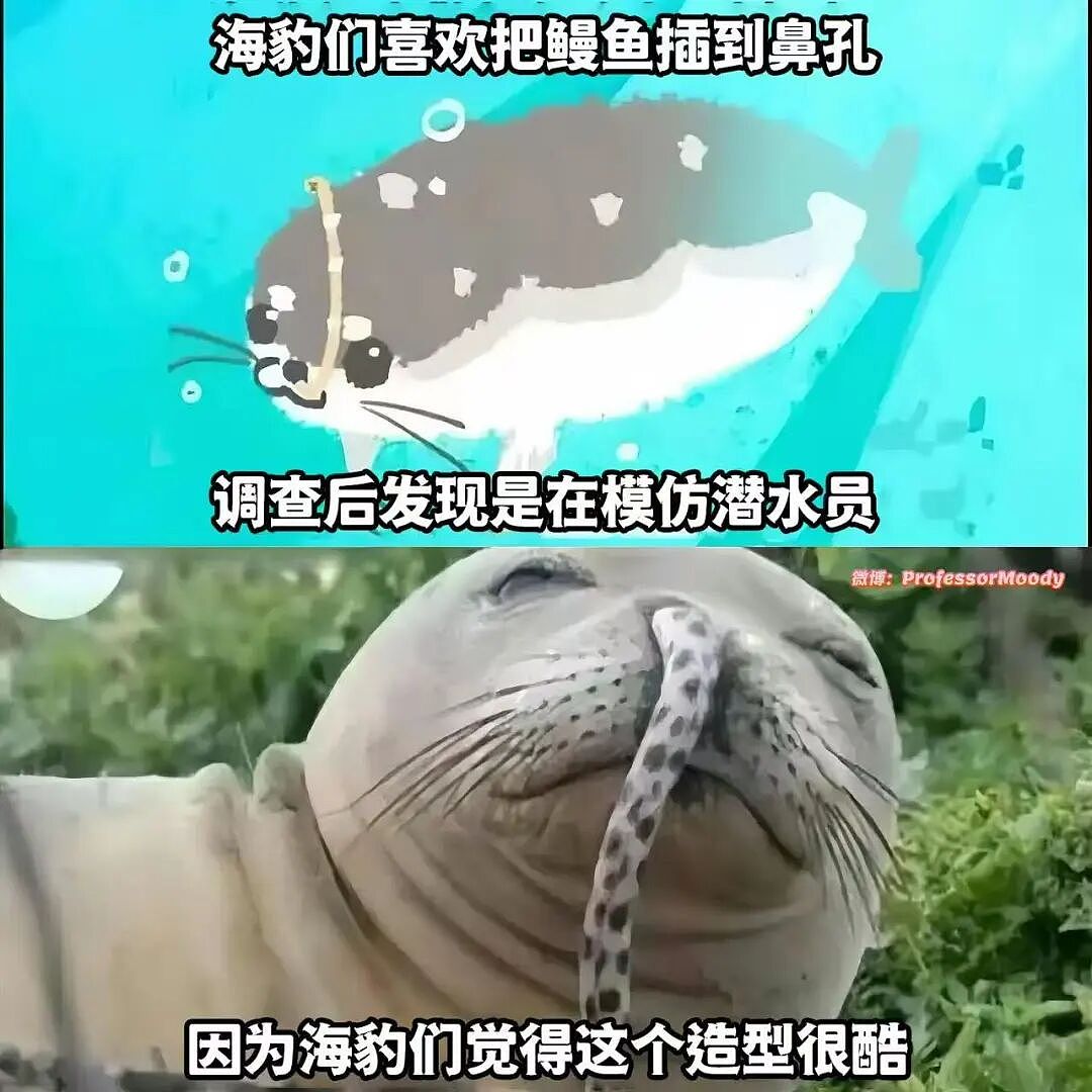 【爆笑】“外卖备注上的信息能带来多大乌龙？” 哈哈哈哈哈哈笑不活了（组图） - 14