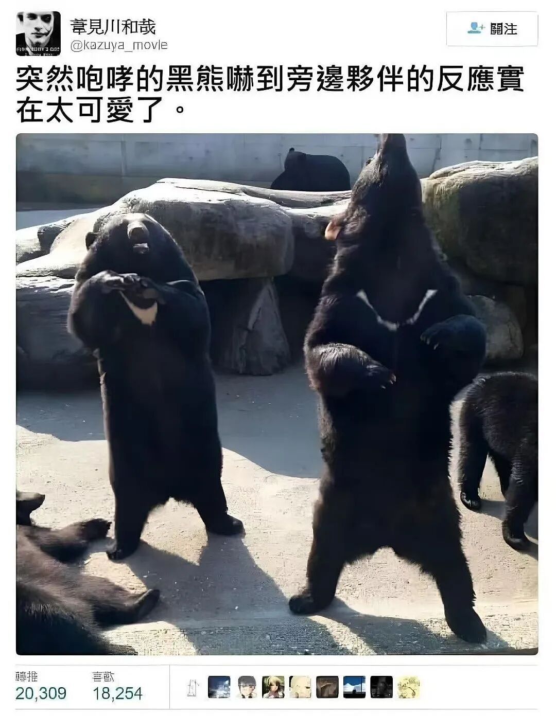 【爆笑】“追星买应援棒结果收到成人用品......” 哈哈哈哈哈哈救命我不行了（组图） - 44
