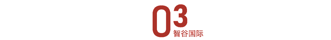 拯救印度人？中国推出新人才签证，阿三们准备大量涌入（组图） - 6