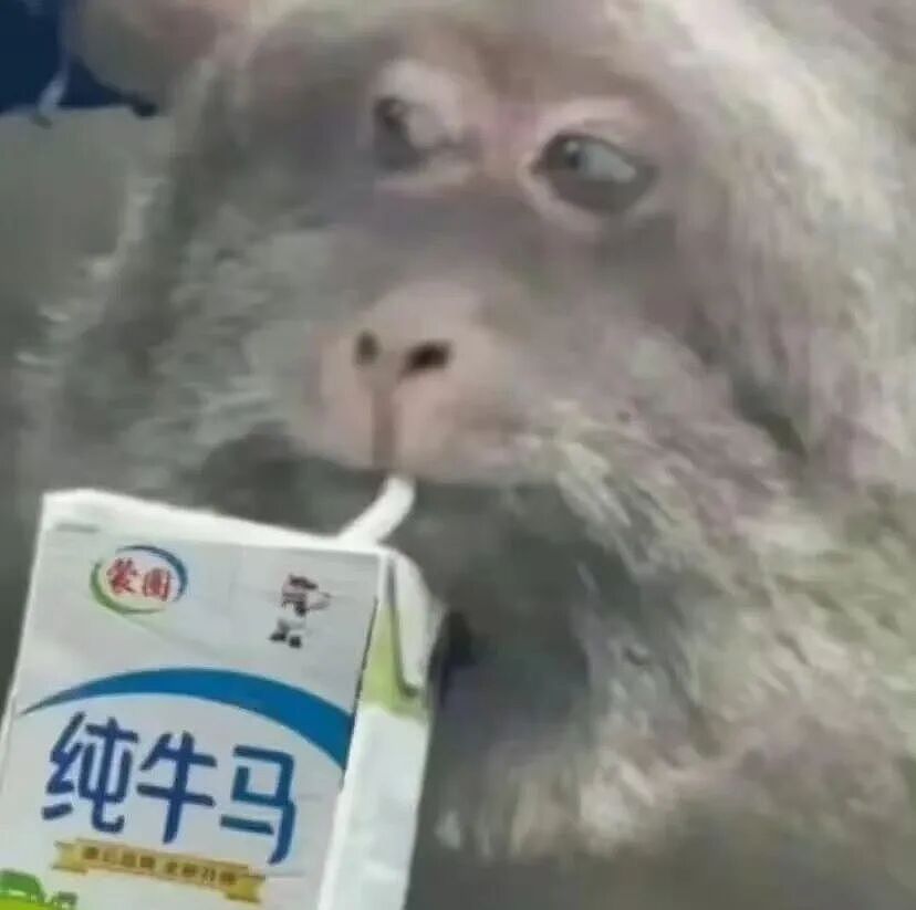 【爆笑】“追星买应援棒结果收到成人用品......” 哈哈哈哈哈哈救命我不行了（组图） - 3