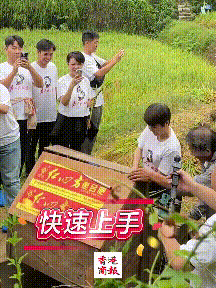 65岁梁安琪到湖南农村打稻谷,手法娴熟一学就会,衣服的印字亮了(组图) - 4