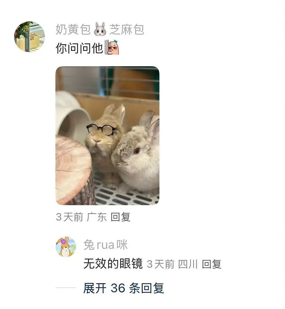【爆笑】“追星买应援棒结果收到成人用品......” 哈哈哈哈哈哈救命我不行了（组图） - 38