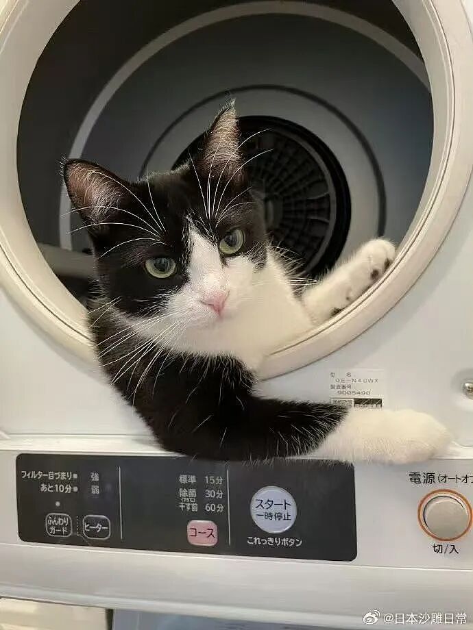 【爆笑】“追星买应援棒结果收到成人用品......” 哈哈哈哈哈哈救命我不行了（组图） - 61