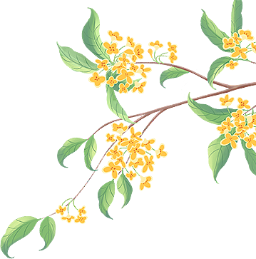 月满人团圆｜QVM中秋市集精彩瞬间（组图） - 3