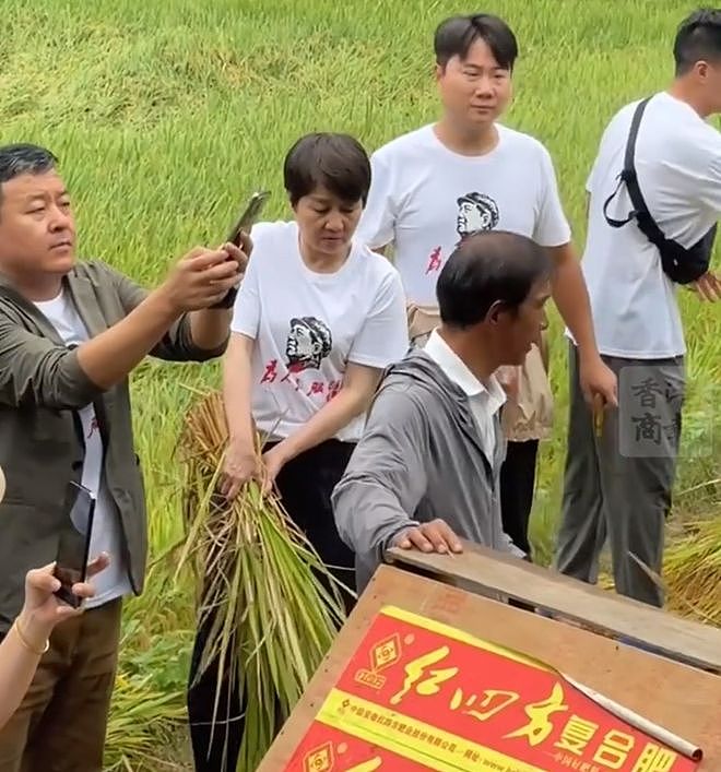 65岁梁安琪到湖南农村打稻谷,手法娴熟一学就会,衣服的印字亮了(组图) - 1