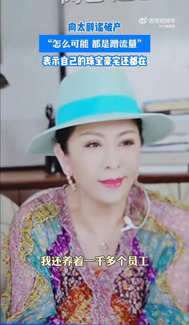 向佐回应向家破产：做得好不好都有人说，但说话的人请有点底线（组图） - 4