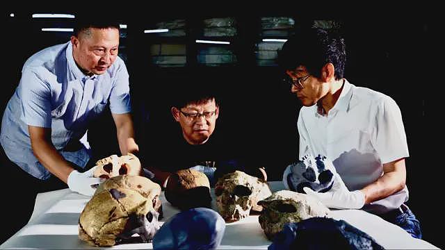 科学家称百万年前的头骨或改写人类演化史（组图） - 2