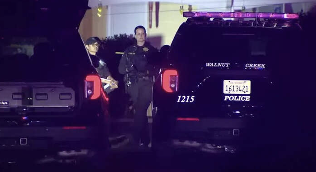 血溅百万豪宅!华男枪杀妻子丈母娘,双胞胎女儿亲睹血腥一幕(组图) - 4
