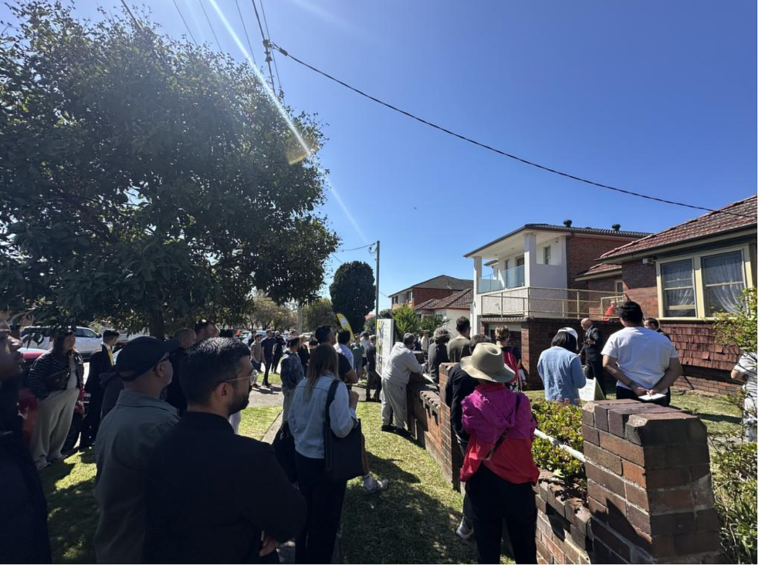 AFL与NRL决赛接连登场，全国拍卖市场进入“赛事模式”（组图） - 3