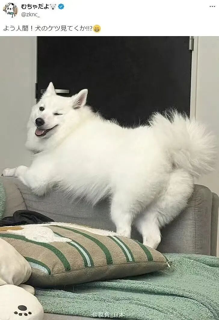 【爆笑】“外卖备注上的信息能带来多大乌龙？” 哈哈哈哈哈哈笑不活了（组图） - 33