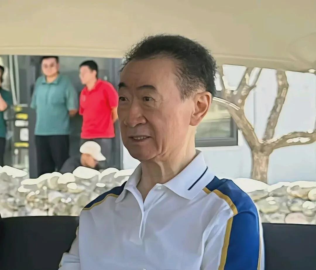 王健林“限高”背后,万达帝国的黄昏....(组图) - 1