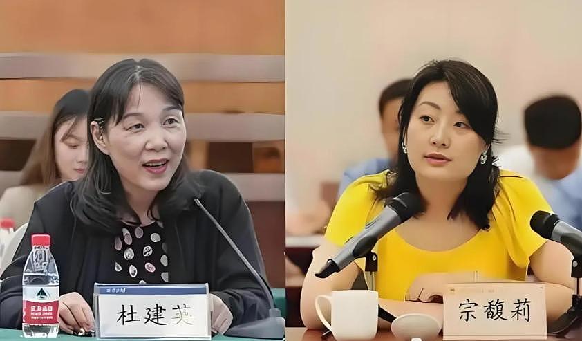 娃哈哈争产最新进展!宗馥莉上诉被驳回,杜建英笑了,三兄妹躺赢(组图) - 6