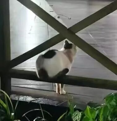 【爆笑】“追星买应援棒结果收到成人用品......” 哈哈哈哈哈哈救命我不行了（组图） - 14