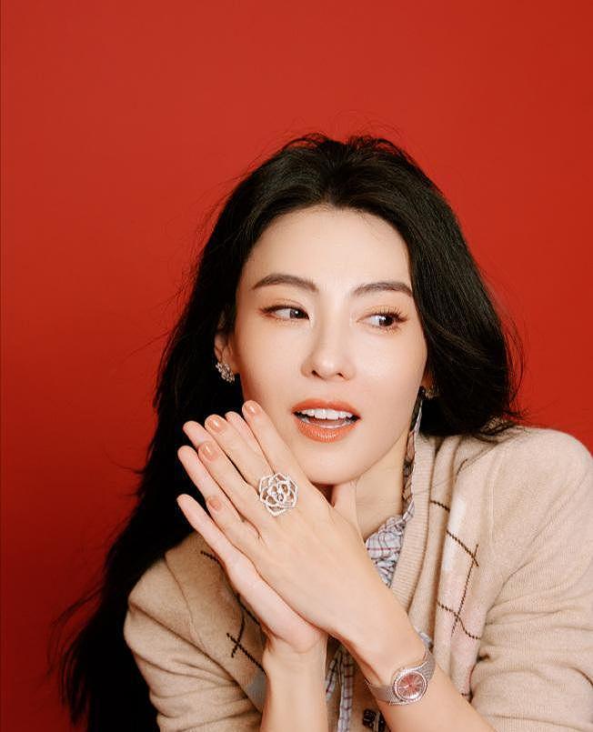 摊牌了，撒谎成性、频繁耍大牌？张柏芝与向太的关系彻底崩塌（组图） - 18